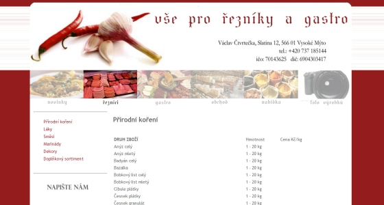 tvorba webových stránek