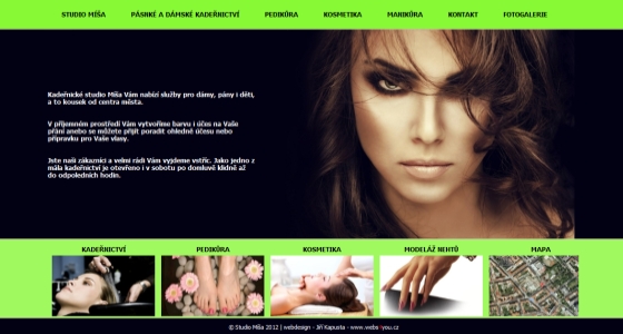 tvorba webových stránek