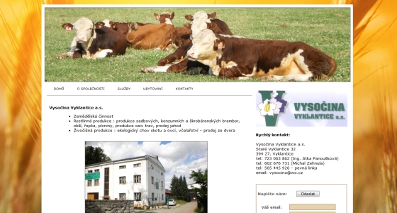 tvorba webových stránek